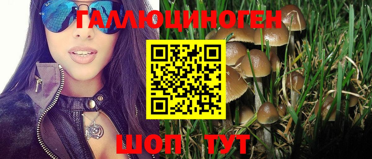 Псилоцибиновые грибы мицелий Можга