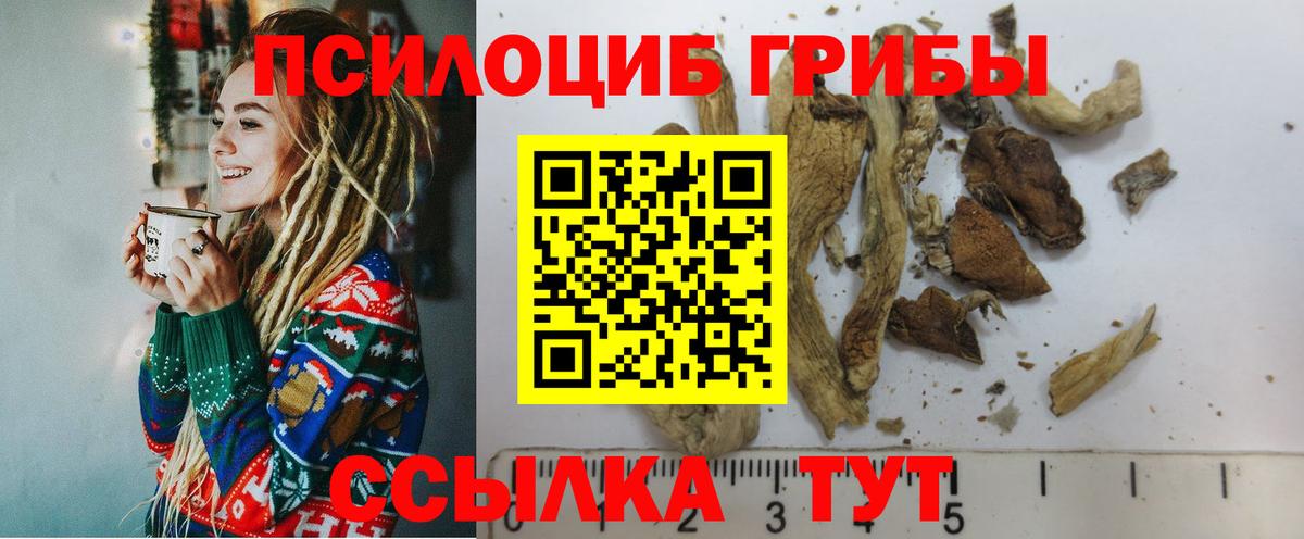 Можга  Галлюциногенные грибы Cubensis  Вход с VPN 