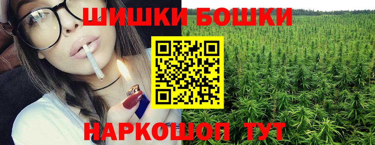 Конопля сатива Можга